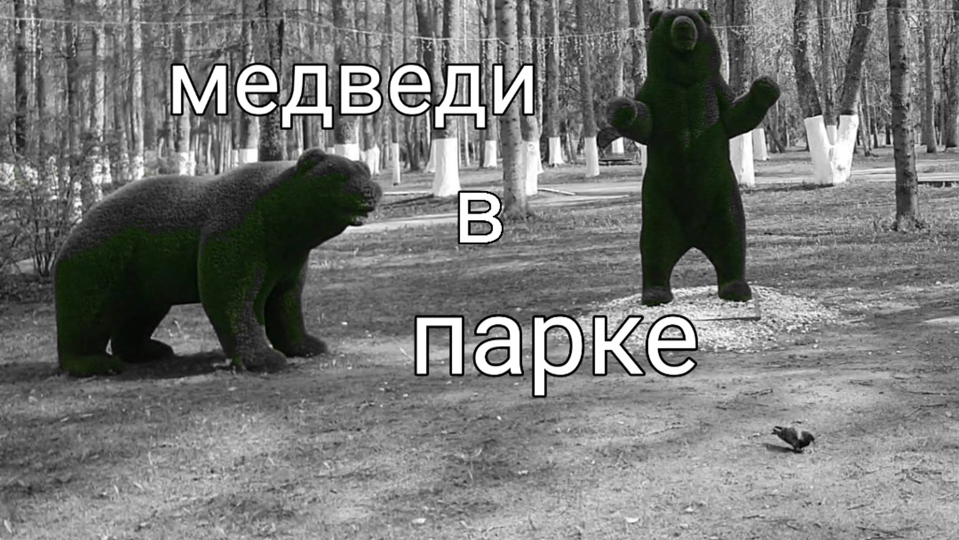 Медведи в парке