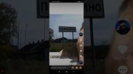 смотрю видео из тик тока 🤣