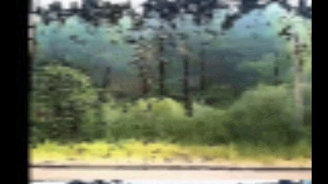 Уеду в другую весну я