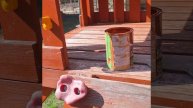 1000022758.mp4 (Собака осматривает детскую игровую площадку у дома А-фрейм)