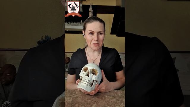 5 основных ошибок при лепке головы