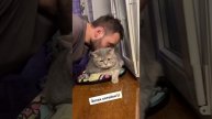 Наш TG https://t.me/liveofcats