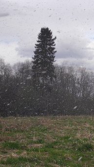 Находка товарища