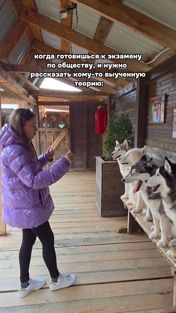Лучшие слушатели - это питомцы! 🐾 #егэ #обществознание #егэ2025