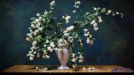 ❤❤❤ Клип, который запрещают - 06 Breeze of Love -- Maxim Novak -- Best of 2024. Listeners Choice..mp