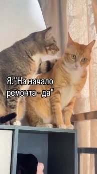 Бывает ли ремонт "бюджетным"?