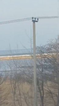 VID-20250501-WA0075.mp4
