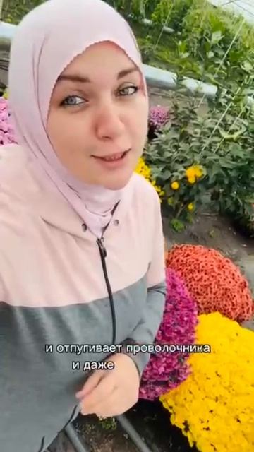 Хотите пышный сад и богатый урожай, не тратя целое состояние? Как бюджетно облагородить почву