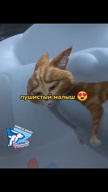 Бэймакс спас жизнь котёнку 😍❤️ #gogibey #фильмы