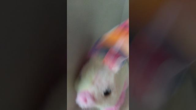 1000060208.mp4