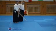 18 Aikido Jo Tai Ken Ai Hanmi Sankyo Shishiya Sensei Pilsen 2023