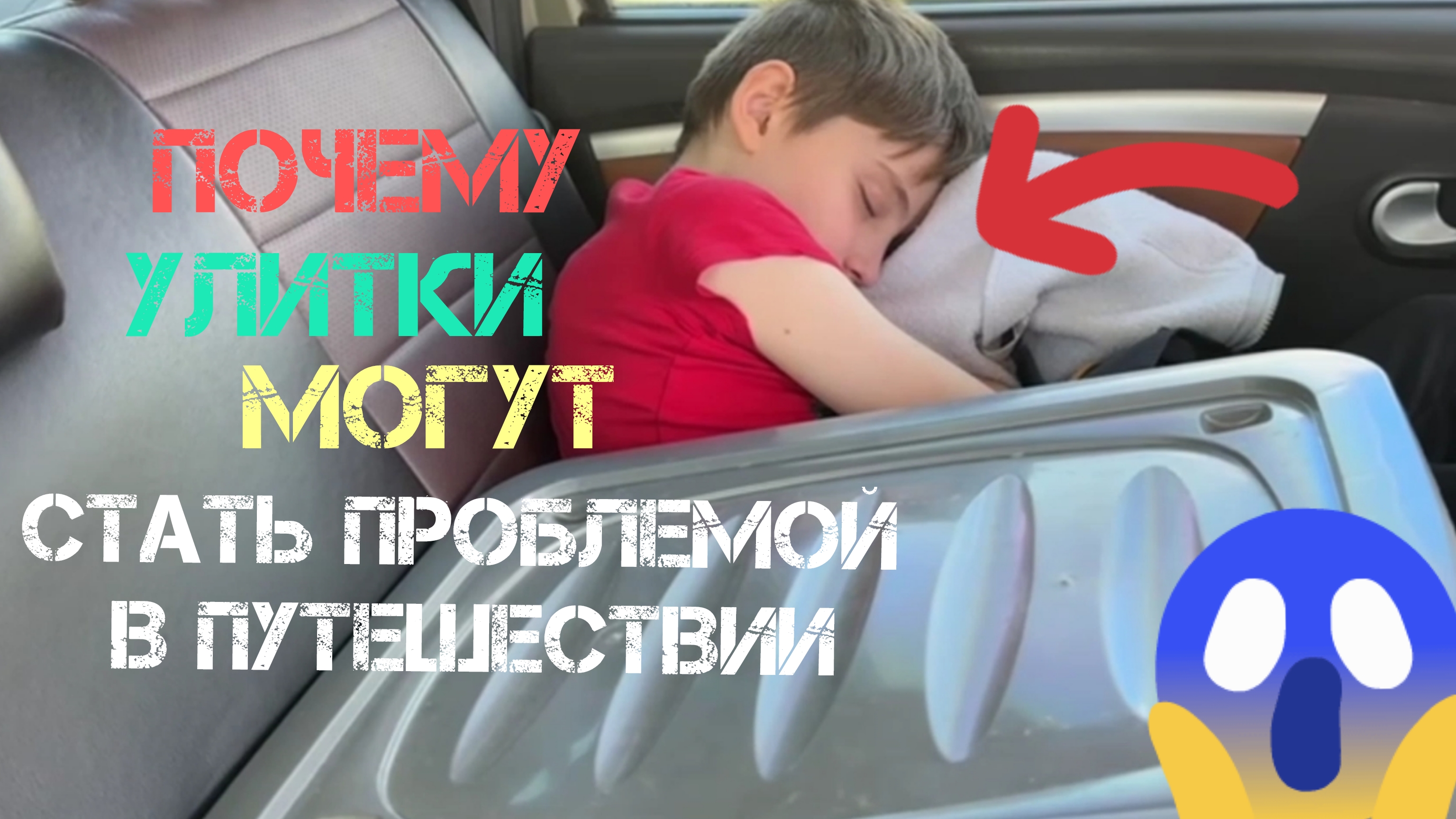 ✨🐌Минусов много не бывает:Почему улитки ахатины могут стать настоящей проблемой в путешествии?🐌✨