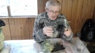 Почему нельзя сразу высаживать покупную рассаду капусты.