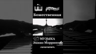 Морриконе Профессионал