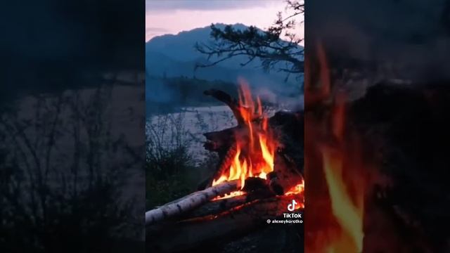 Хороших, добрых чаще предают. Стих