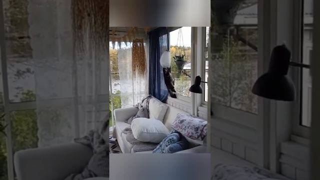 подборка смешных котиков