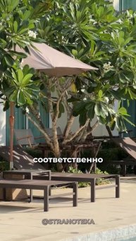Поехали в отель 4 звезды но он оказался на все 5! Название вконце)