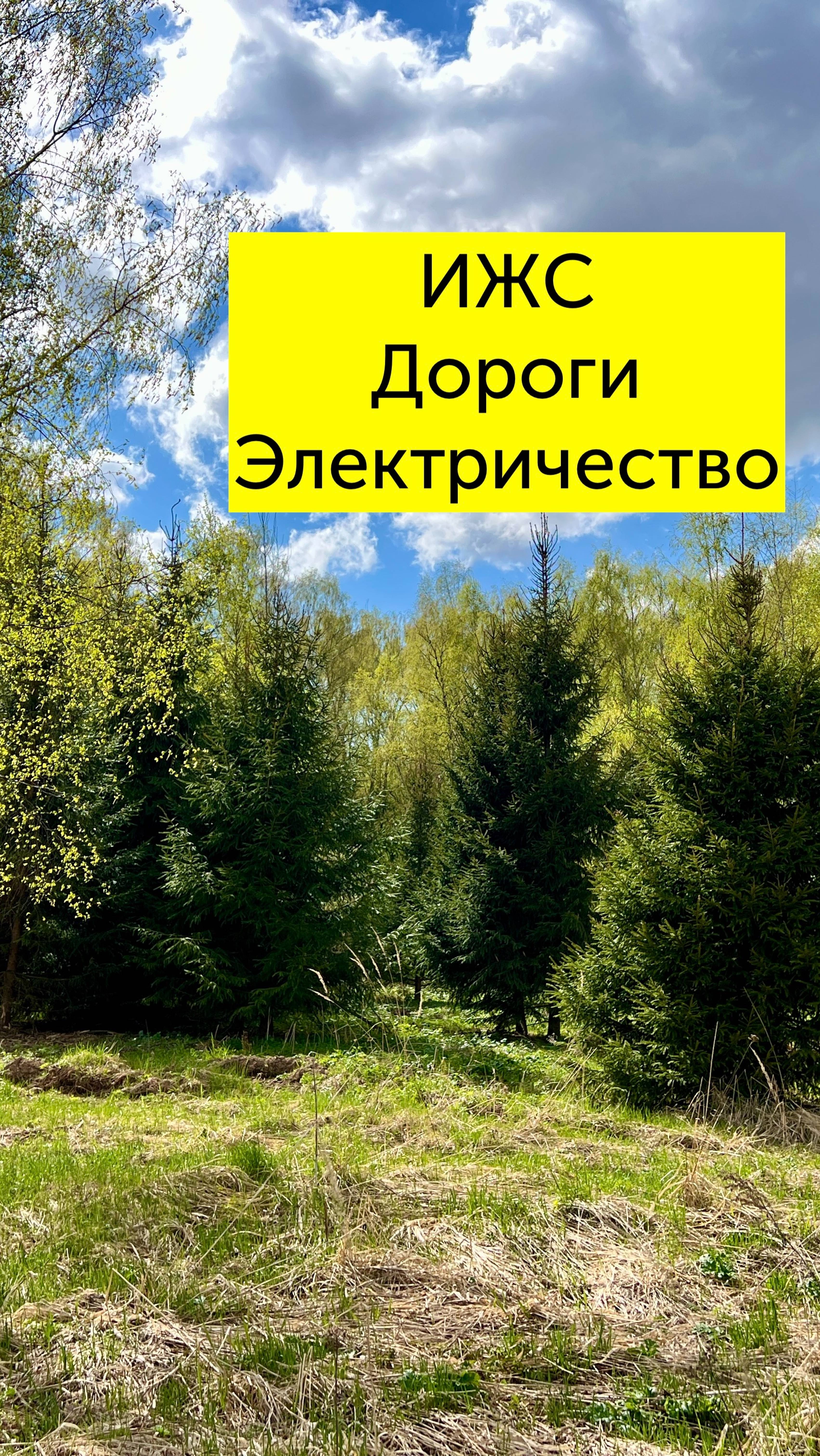 Юсупово у леса