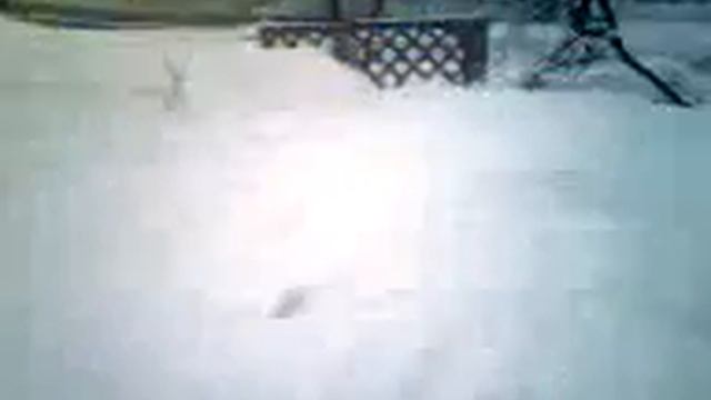 Я возвращаюсь домой
