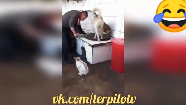НОВЫЕ ПРИКОЛЫ I 2018 I"69" I ПОДБОРКА ЛУЧШИХ ПРИКОЛОВ!!!