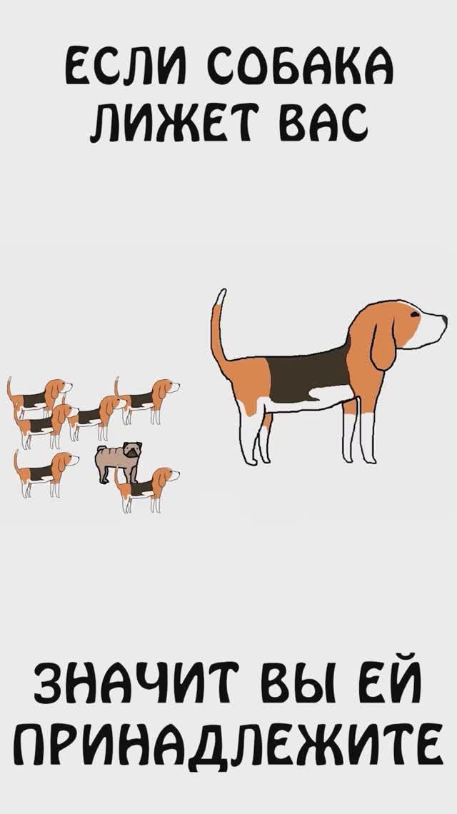 Собаки лижут только своих - Академия Брокколи и Сэма ОНеллы