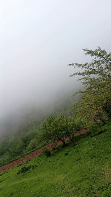 Последний день апреля