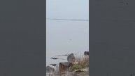 Хабаровск Амур.