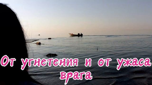 Свет - Это Ты? 2