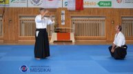 9 Aikido Shomen Uchi Ikkyo Omote Shishiya Sensei Pilsen 2023
