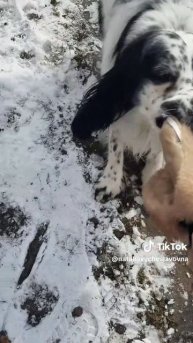 Прощай, шапка!...)))
