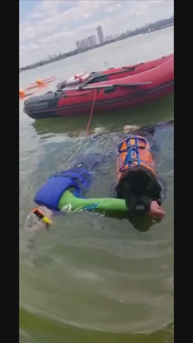 Абигайль посвящается