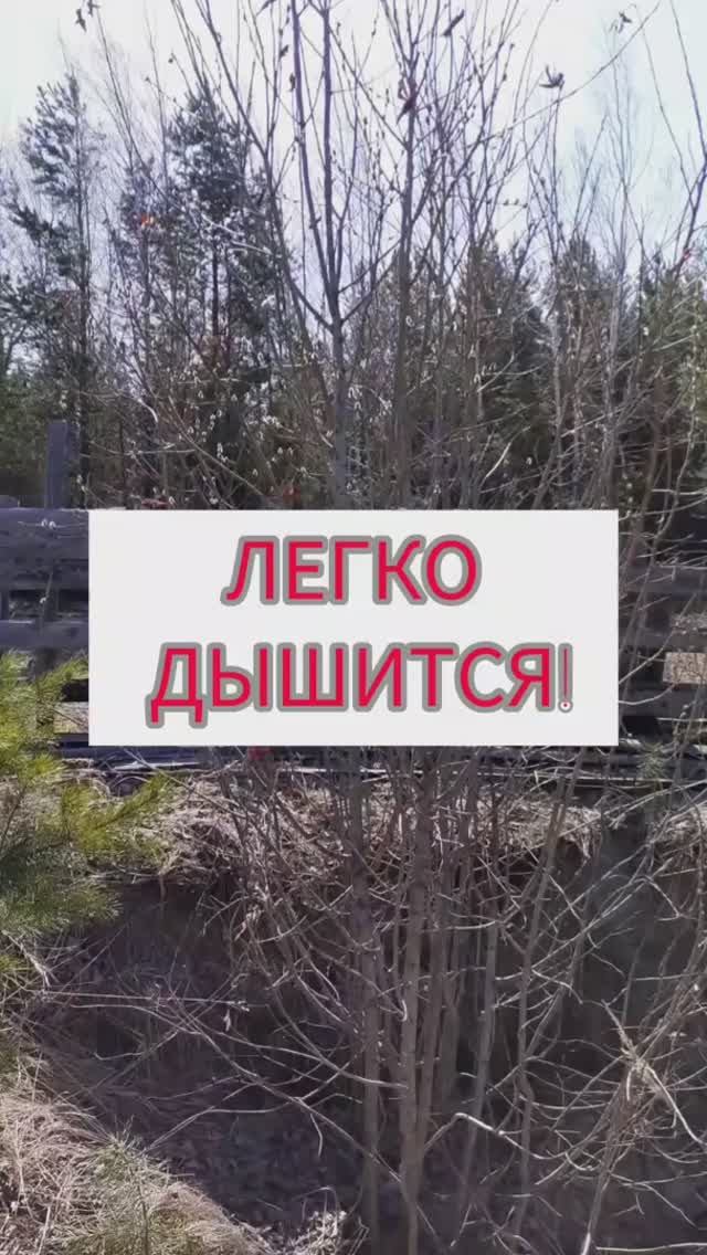 Легко дышится!