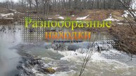Разнообразные находки. Монеты Австрии, Польши, СССР и Царской РОССИИ. Коп 2022.