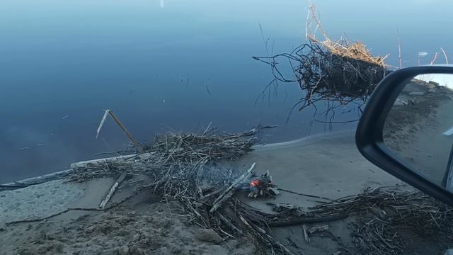 1000050488.mp4