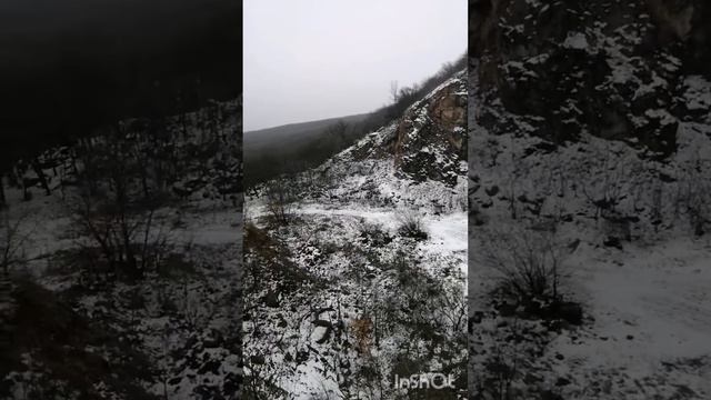 Змейка и шулюм. 22.01.2023г.