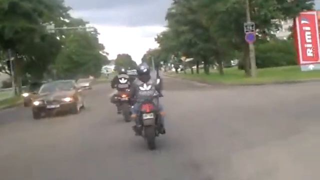Narva 2012 Суслик поймал осу
