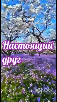 902ef045-0b6f-446d-968f-0b54d43d3bb7.mp4
