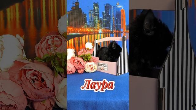 lv_0_20250501220023.mp4