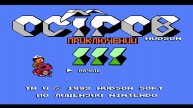 Adventure Island III - Прохождение