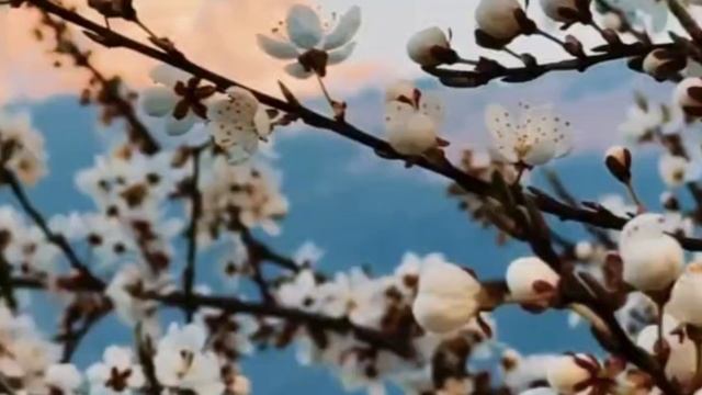 Поздравляю с Праздником Весны и Труда!