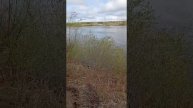ПРОИСШЕСТВИЕ НА ВЯТКЕ В РАЙОНЕ ДЕРЕВНИ ПЕНЬКИ