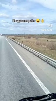 1000060250.mp4