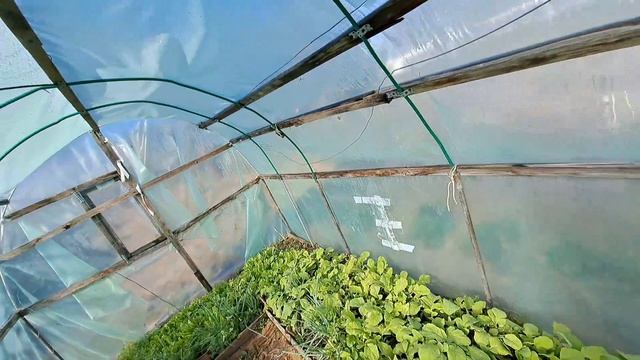 Быстренько нажарила котлеты и на ОГОРОД/РАБОТА НА ДАЧЕ