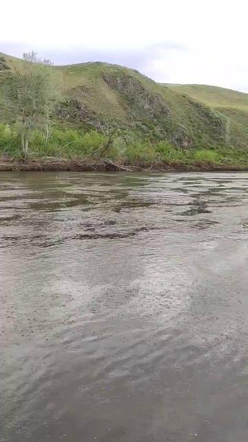 Мир труд май