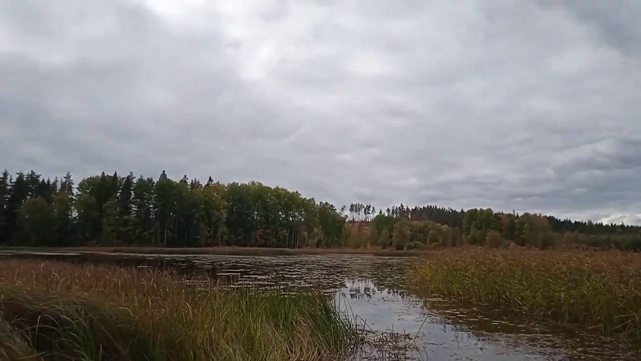 Озеро Бусловское почти у самой финской границы. Не подойти к воде. Люди не убирают мусор.