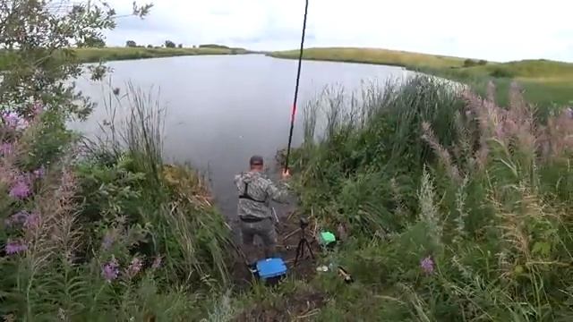 Рыбалка на карпа в камыше на поплавок. Ловля на маховую удочку.