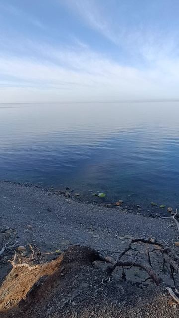 01.05.2025 Туапсинский район. Сосновый.