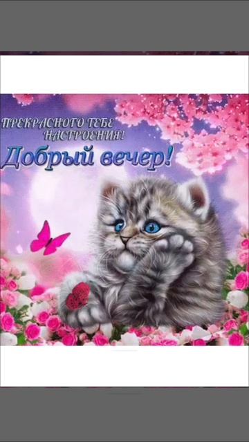 Добрый вечер