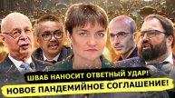 ⚡️ Ирина Жильцова О Том, Почему Против Шваба Начали Расследование?