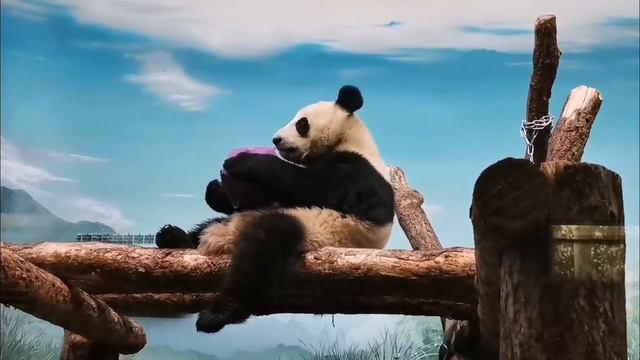 Дитё играет и нас радует! 😊🥰
